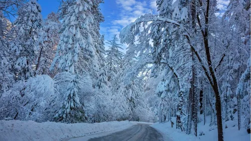 Зимние Пейзажи Обои на телефон дорога со снегом на обочине