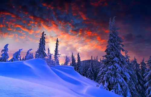 Зимние Пейзажи Обои на телефон снежный пейзаж с деревьями и закатом