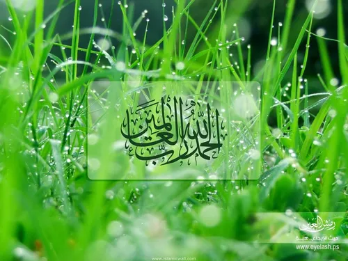 Красивые Мусульманские Обои на телефон зеленый логотип на листе