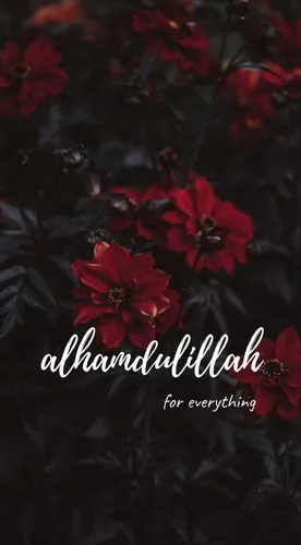 Красивые Мусульманские Обои на телефон группа красных цветов