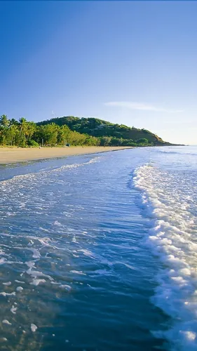 Красивые Лето Обои на телефон пляж с деревьями и водой