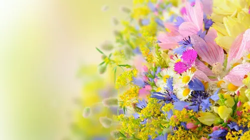 Красивые Лето Обои на телефон цветы крупным планом