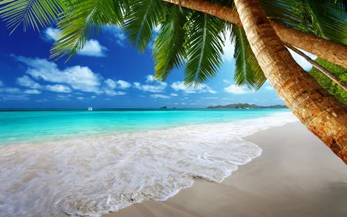 Красивые Лето Обои на телефон пляж с пальмами