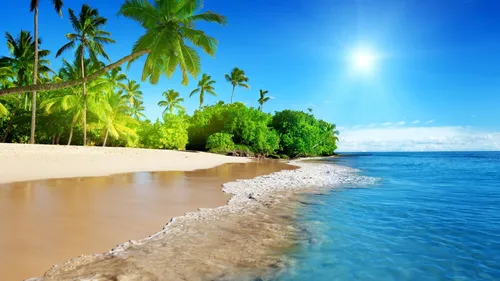 Красивые Лето Обои на телефон песчаный пляж с пальмами