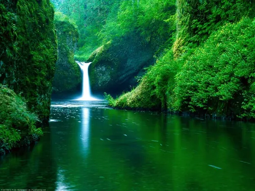 Красивые Лето Обои на телефон водопад в лесу