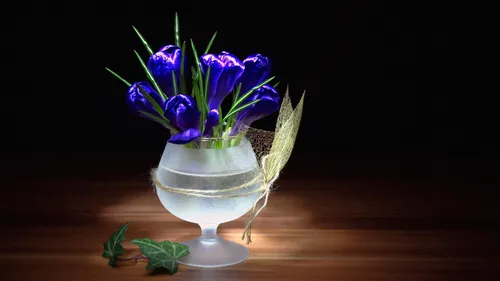 Крокусы Обои на телефон ваза с голубыми цветами