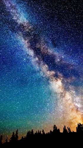Млечный Путь Обои на телефон звездное ночное небо над деревьями