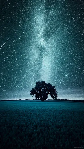 Млечный Путь Обои на телефон дерево в поле