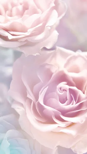 Нежно Зеленые Обои на телефон крупный план розового цветка