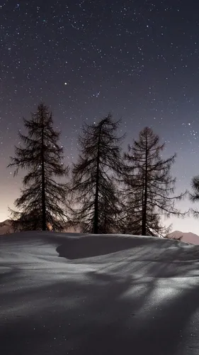 2К Обои на телефон снежный пейзаж с деревьями и звездами в небе