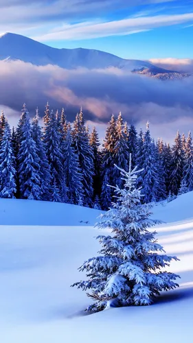 2К Обои на телефон снежный пейзаж с деревьями