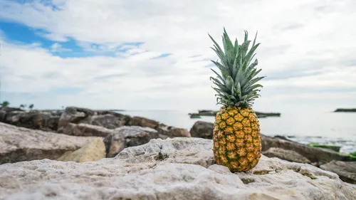 Ананас Обои на телефон ананас на скалистом пляже