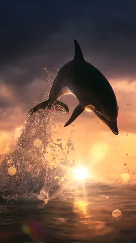 Дельфины Обои на телефон акула плавает в воде