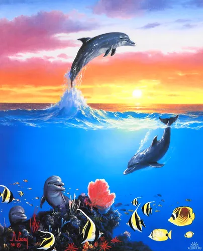 Дельфины Обои на телефон группа пингвинов в небе