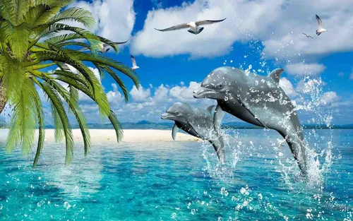 Дельфины Обои на телефон снимок
