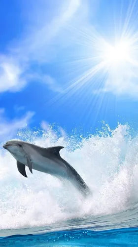 Дельфины Обои на телефон заставка