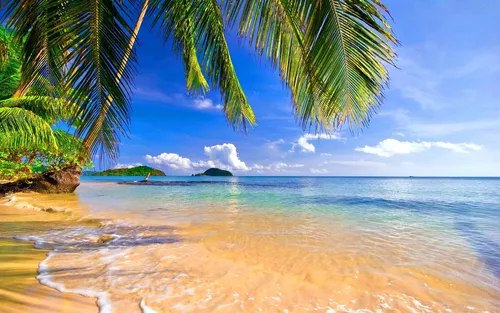 Динамо Киев Обои на телефон тропический пляж с пальмами