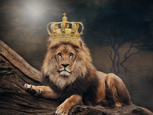 Лев И Львица Обои на телефон лев в короне