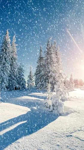 Новинки Обои на телефон снежный пейзаж с деревьями