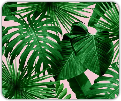 Пальмовые Листья Обои на телефон фото на Samsung