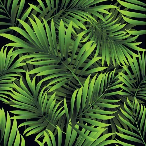 Пальмовые Листья Обои на телефон картинки