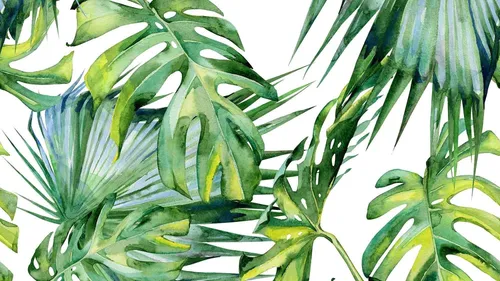 Пальмовые Листья Обои на телефон снимок