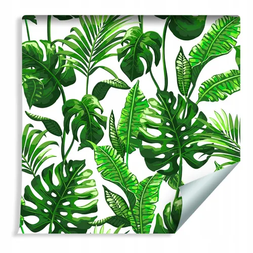 Пальмовые Листья Обои на телефон группа зеленых листьев