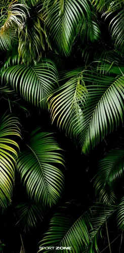 Пальмовые Листья Обои на телефон фоновый узор