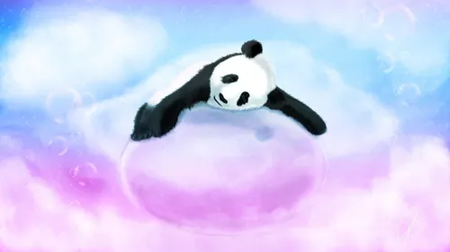 Панды Обои на телефон черно-белая панда