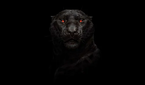 Пантера Обои на телефон черная собака с красными глазами