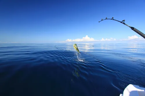 Рыбалка Обои на телефон человек, занимающийся парашютом на воде