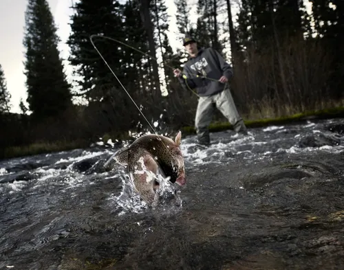 Рыбалка Обои на телефон мужчина держит рыбу в реке