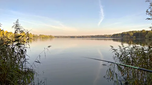 Рыбалка Обои на телефон водоем с деревьями вокруг него