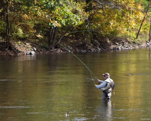 Рыбалка Обои на телефон человек, ловящий рыбу в реке