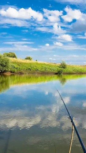 Рыбалка Обои на телефон водоем с травой и деревьями вокруг него