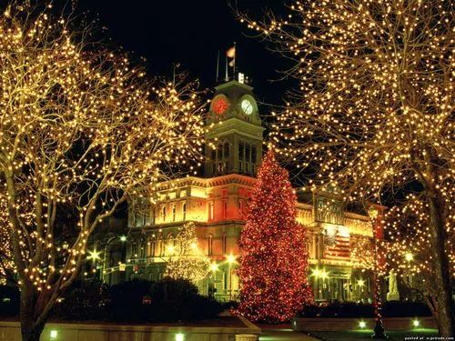 Самсунг Новый Год Обои на телефон здание с рождественскими елками
