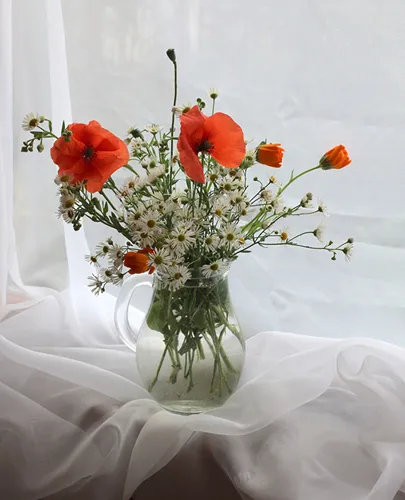 Цветы Маки Обои на телефон ваза с цветами