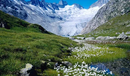 Швейцария Обои на телефон ручей, протекающий через долину между горами