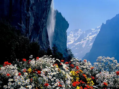 Швейцария Обои на телефон водопад в долине с цветами