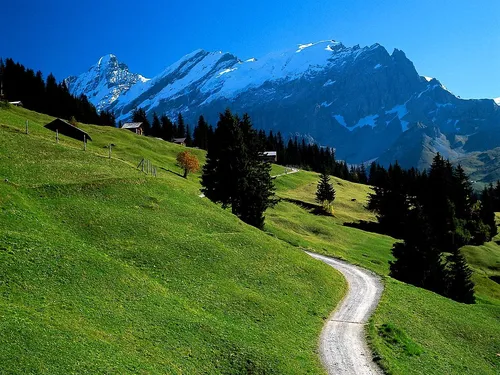 Швейцария Обои на телефон грунтовая дорога в травянистом поле с горами на заднем плане