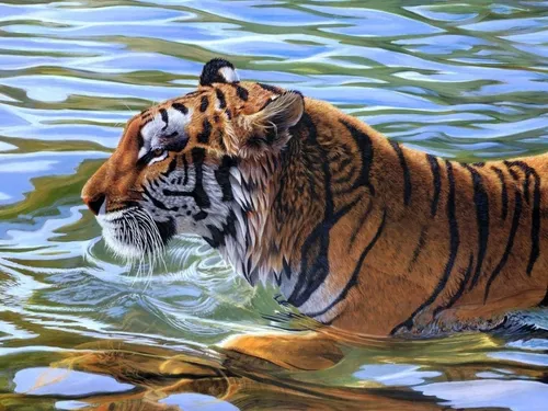 Движущиеся Животные Обои на телефон тигр плавает в воде