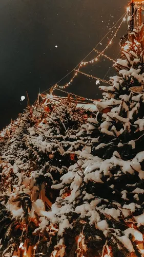 Новогоднии Обои на телефон дерево, покрытое снегом