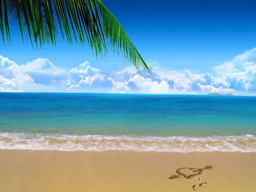 С Морем Обои на телефон пляж с пальмой