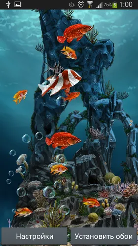 Подводный Мир Обои на телефон аквариум с рыбой и растениями