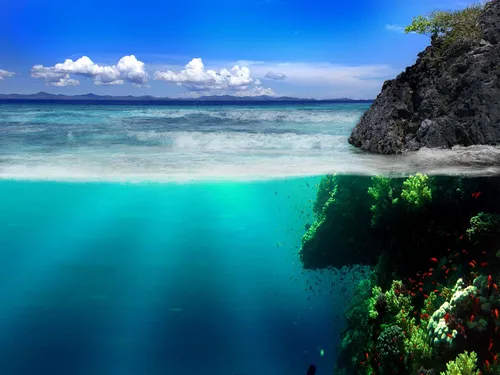Подводный Мир Обои на телефон водоем с камнями и растениями вокруг него
