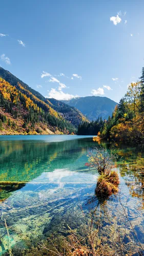 Природа Картинки Обои на телефон озеро, окруженное деревьями и горами