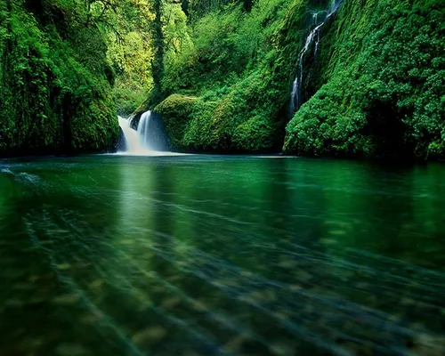 Природа Картинки Обои на телефон водопад в лесу