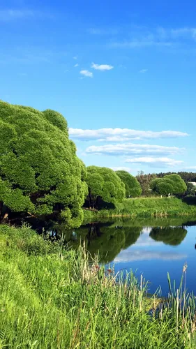 Природа Картинки Обои на телефон водоем с деревьями вокруг него