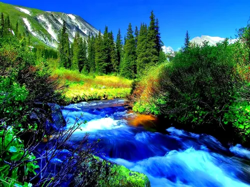 Природа Картинки Обои на телефон река, протекающая через лес