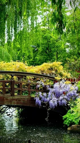 Природа Картинки Обои на телефон мост через реку с цветами
